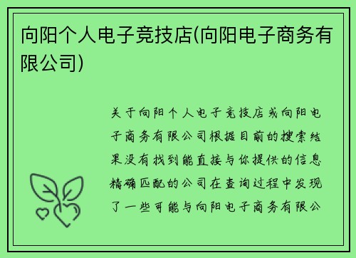 向阳个人电子竞技店(向阳电子商务有限公司)